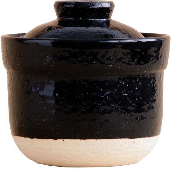 Iga no Takumi Instant Rice Pot Microwave Rice Cooker Clay Pot